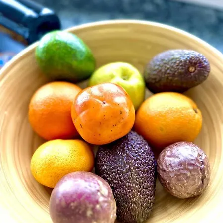 アパート Duplex Sea View By Holidays